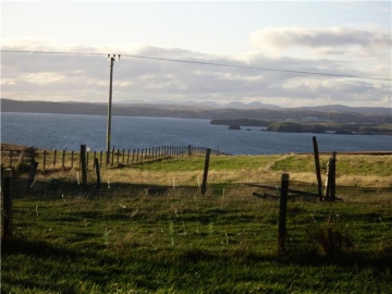 View from the Kitchen
